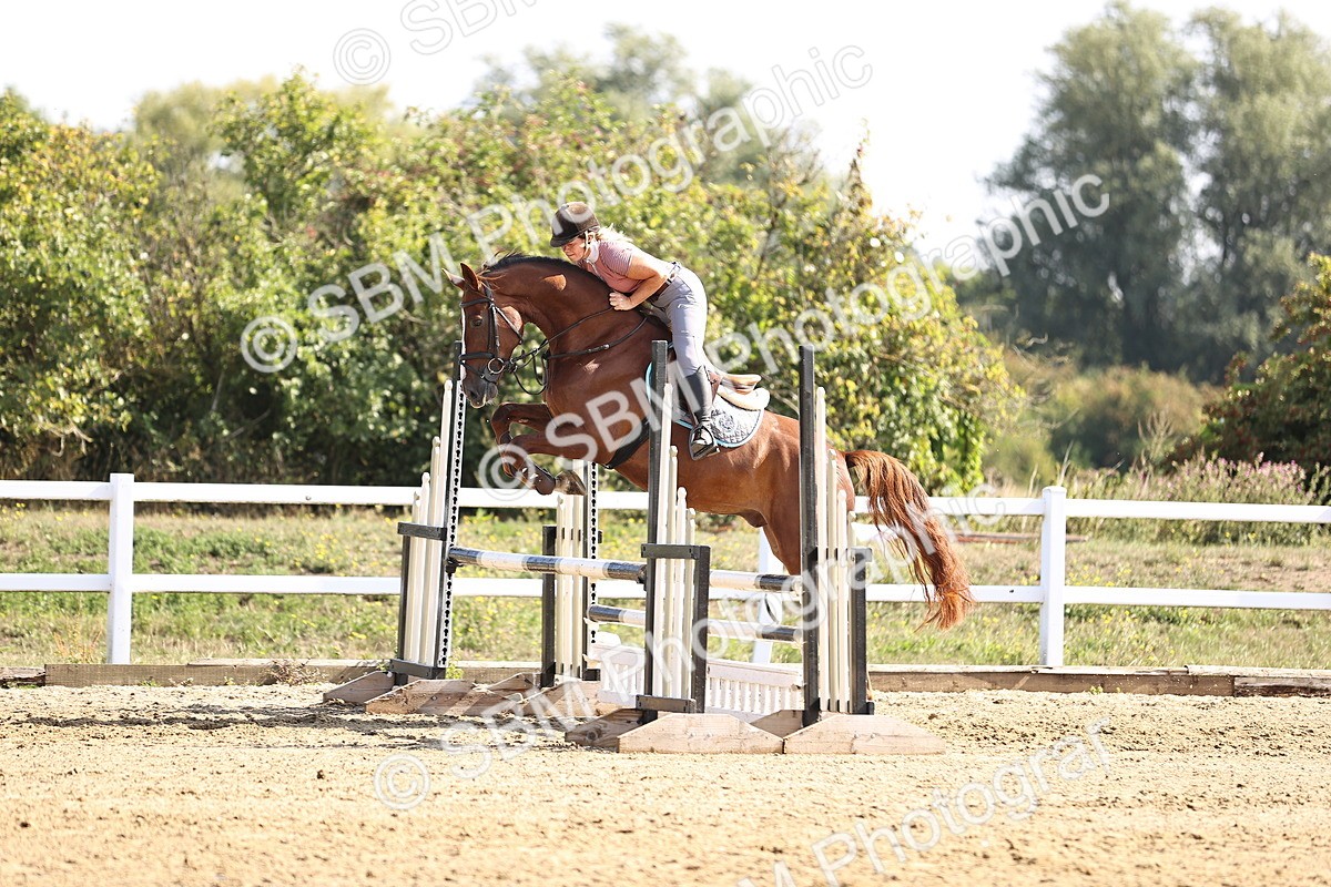 SBM_005611 - Class 9 - Senior British Novice - 90cm