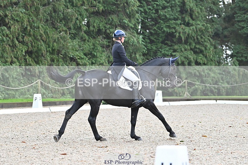 231019-104244-01941 - 102-BAGHEERA-Althea.Bleekman-DR