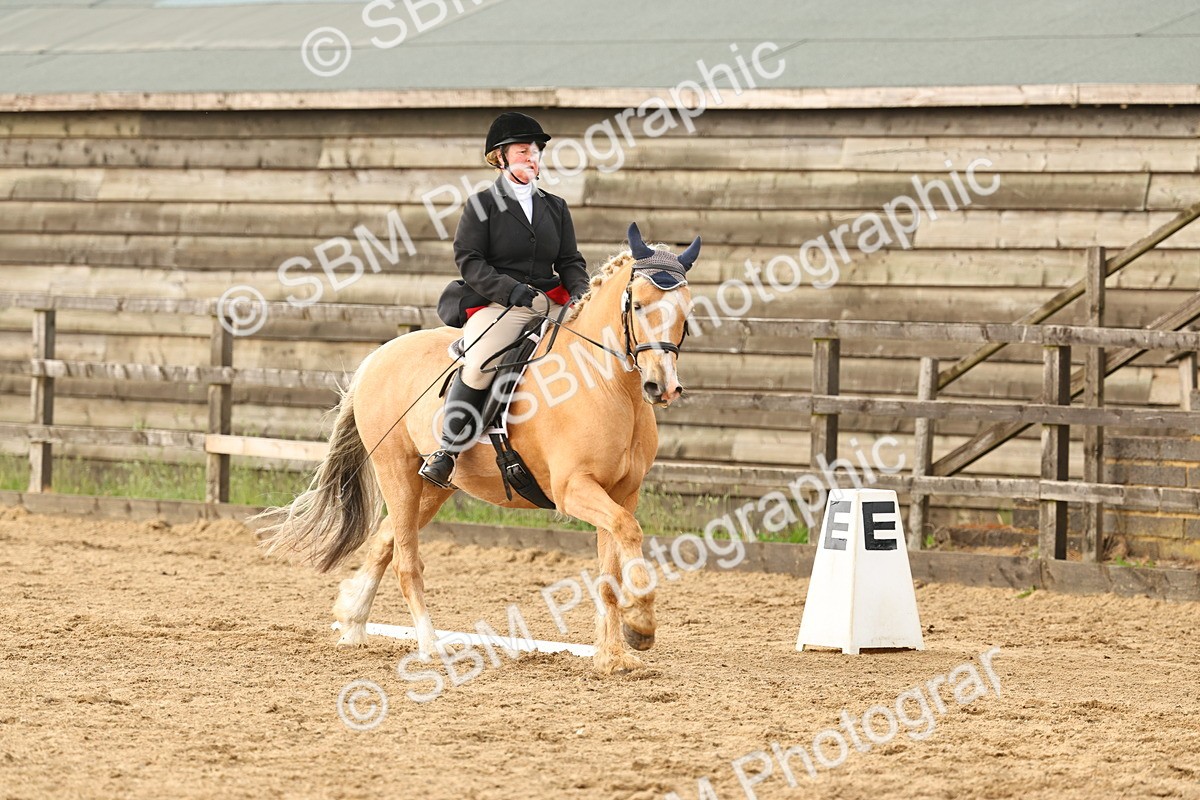 SBM_003269 - Class 7 - Novice 2