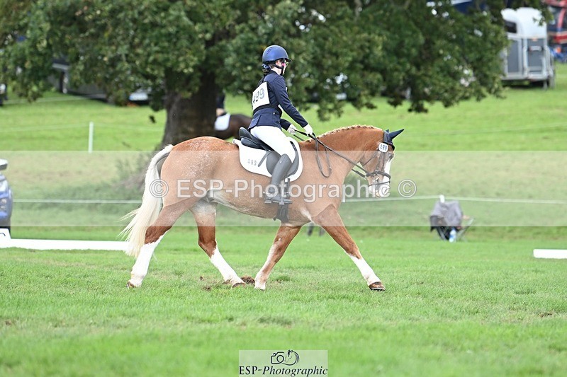 231020-143631-10683 - 499-GORFELYN.PETER.THE.GREAT-Charlotte.Bellamy-DR