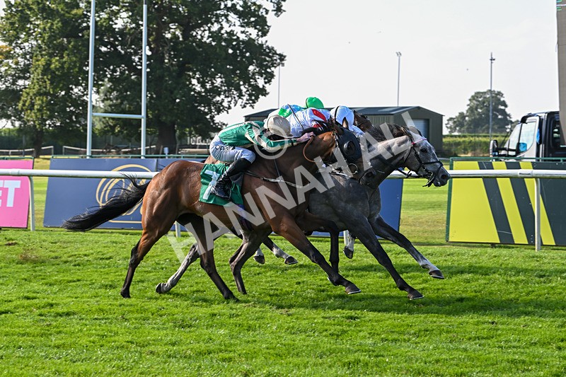 300824-Race 7-The Crafty Mole-6500 - Race 7