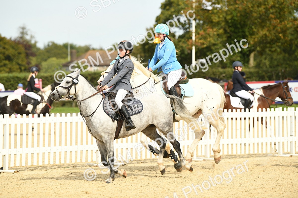 SBM_65328 - J48 - Pairs Jumping Open 70cm & 85cm