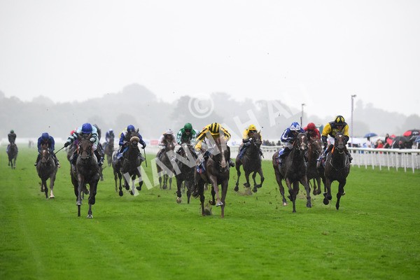 yr21082021r4-63 - Race 4 3.35pm Sky Bet Ebor