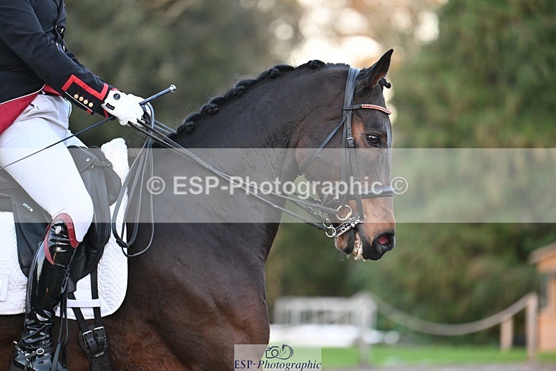 231110-161701-02538 - Cls 12 FEI Inter I