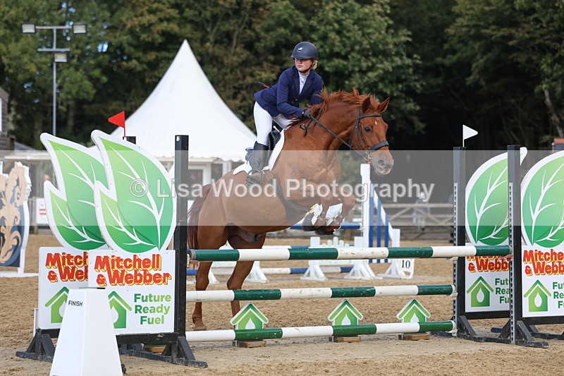 3E7A9070 - Class 9: Senior British Novice/90cm open