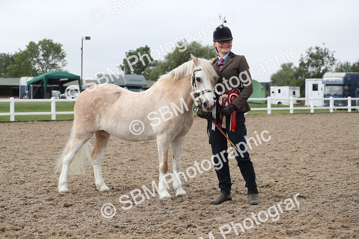 SBM_22574 - Class 604 - 2025 Area - IH Diamond