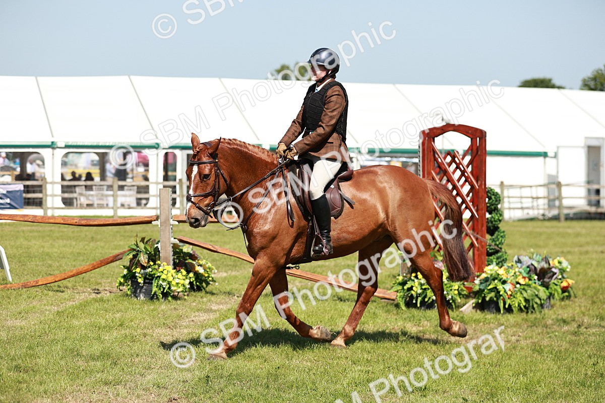 SBM_18339 - Class 112-113 - BSPS LIHS Working Sports Pony
