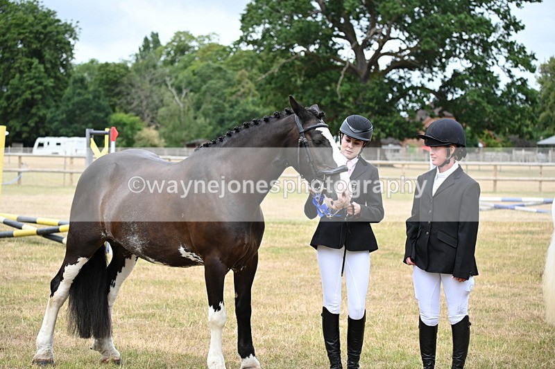 WJ6_4459 - Class 10 Coloured In-hand