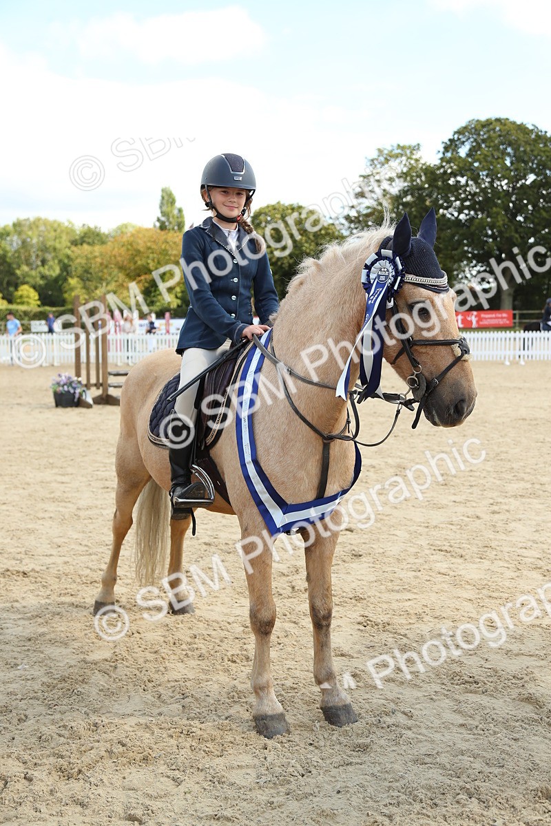 SBM_41503 - J6 - Junior Pony 55cm Championships
