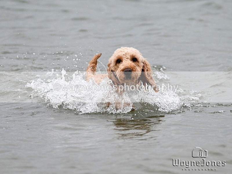 WJ7_9855 - Hayling Island Beach Shoot 22-09-24