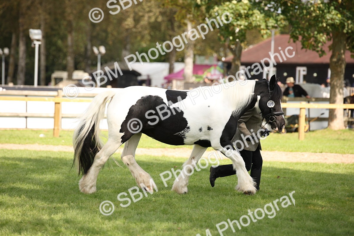 SBM_44486_S24 - Young Veteran In Hand - Theresa Huttom