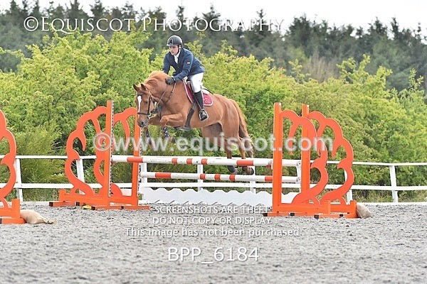 BPP_6184 - SUN CLASS 37 BR NOVICE/90CM