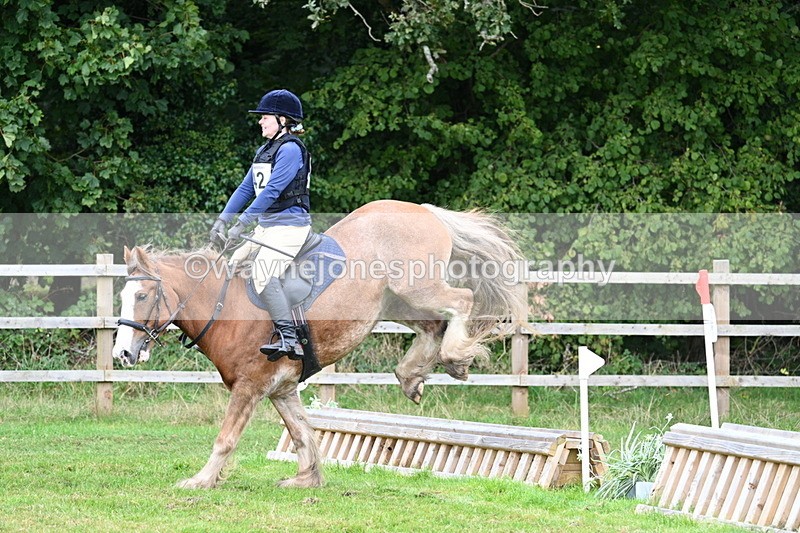 WJ7_7707 - 40cm Time 10:49 to 11:18