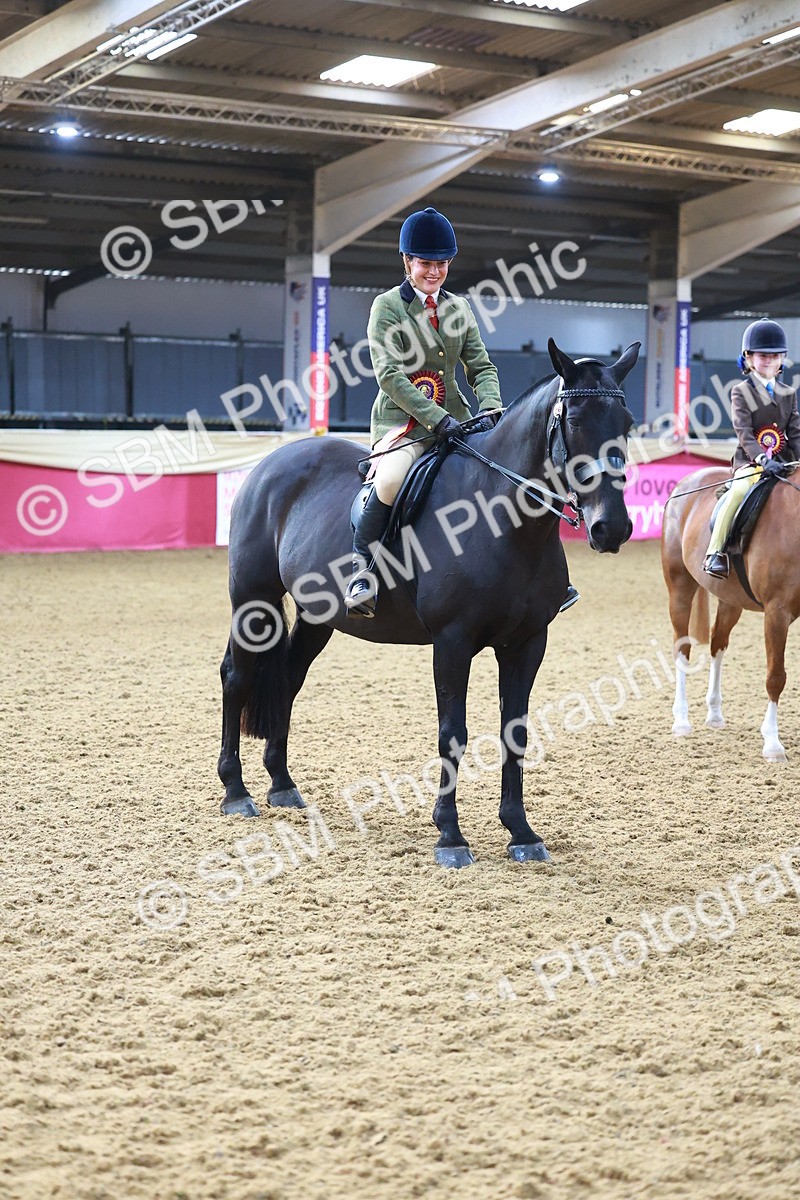 SBM_07751 - Class 101 - HOYS Veteran Qualifier - Ridden Diamond