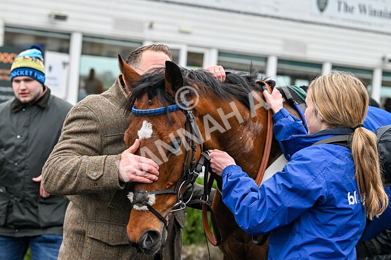 281225-Race 3-Supreme George-0541 - Race 3