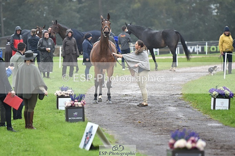 231018-121630-00175 - 025-LYRICAL.II-Harriet.Dickin-TrotUp