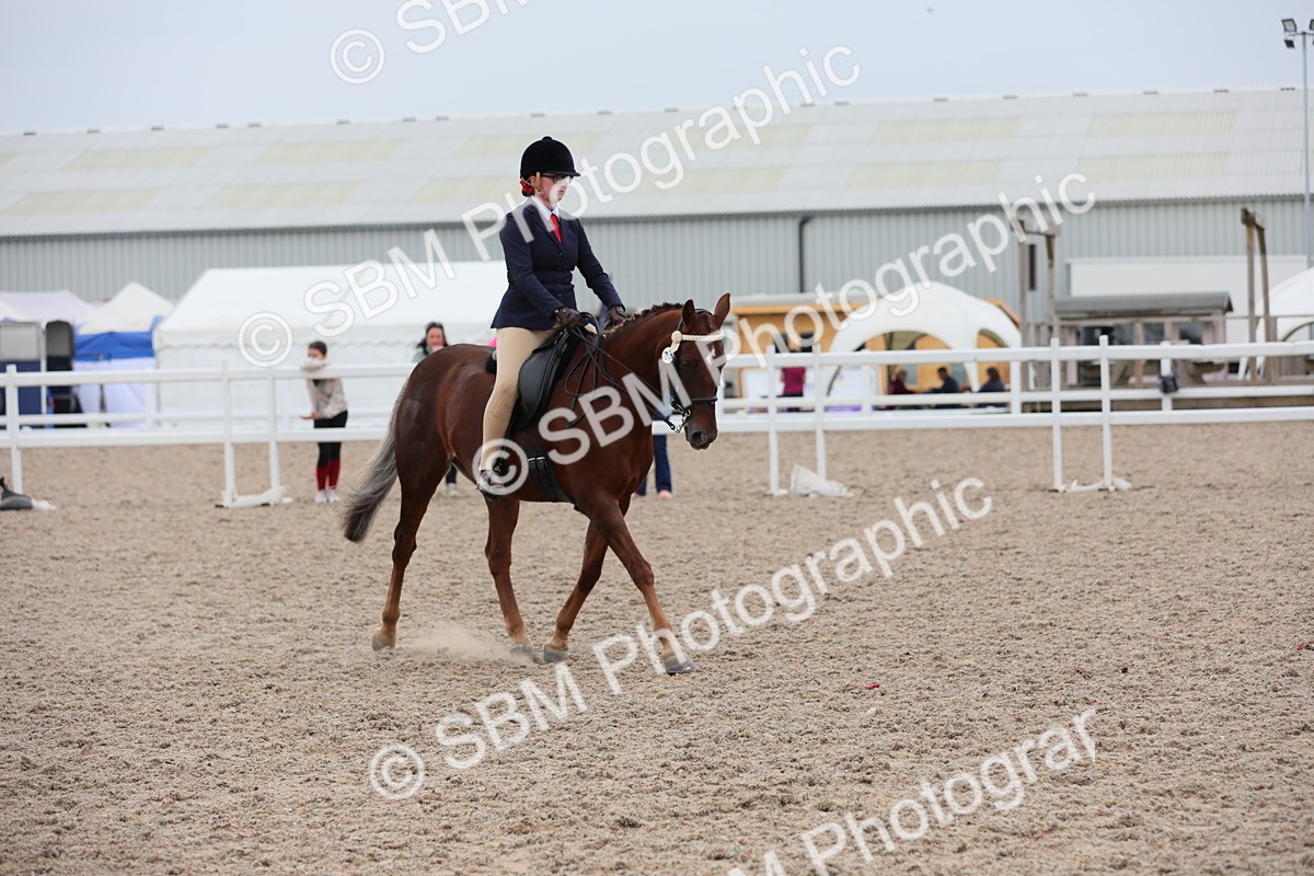 SBM_18106 - Class 316 Best Pony/Rider Combination