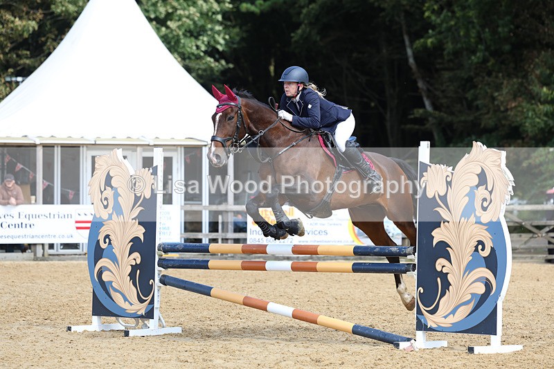 3E7A9105 - Class 9: Senior British Novice/90cm open