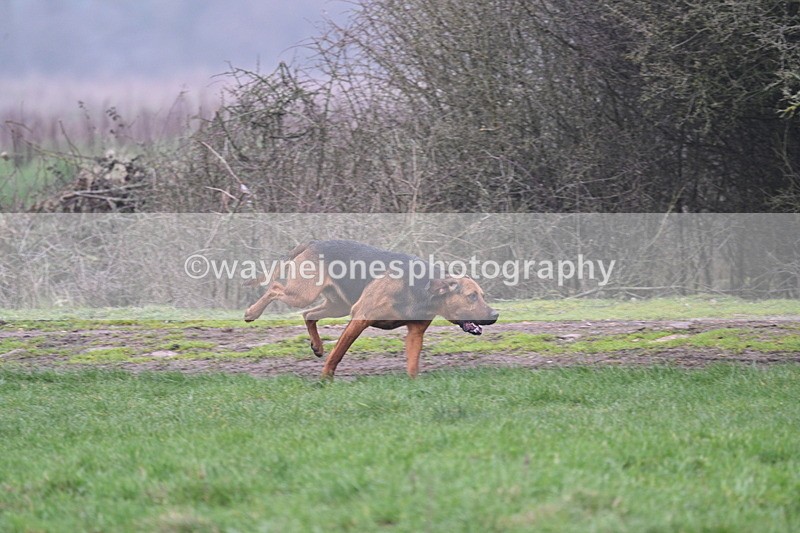 WJ7_0605 - Line 3 cam A