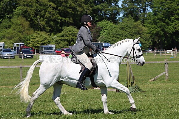 IMG_3997 - Working Hunter