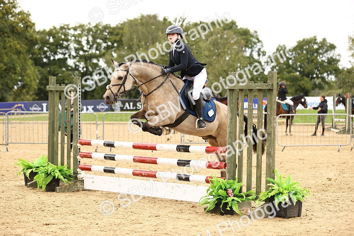 SBM_66572 - J17 - Junior Pony 80cm Championship