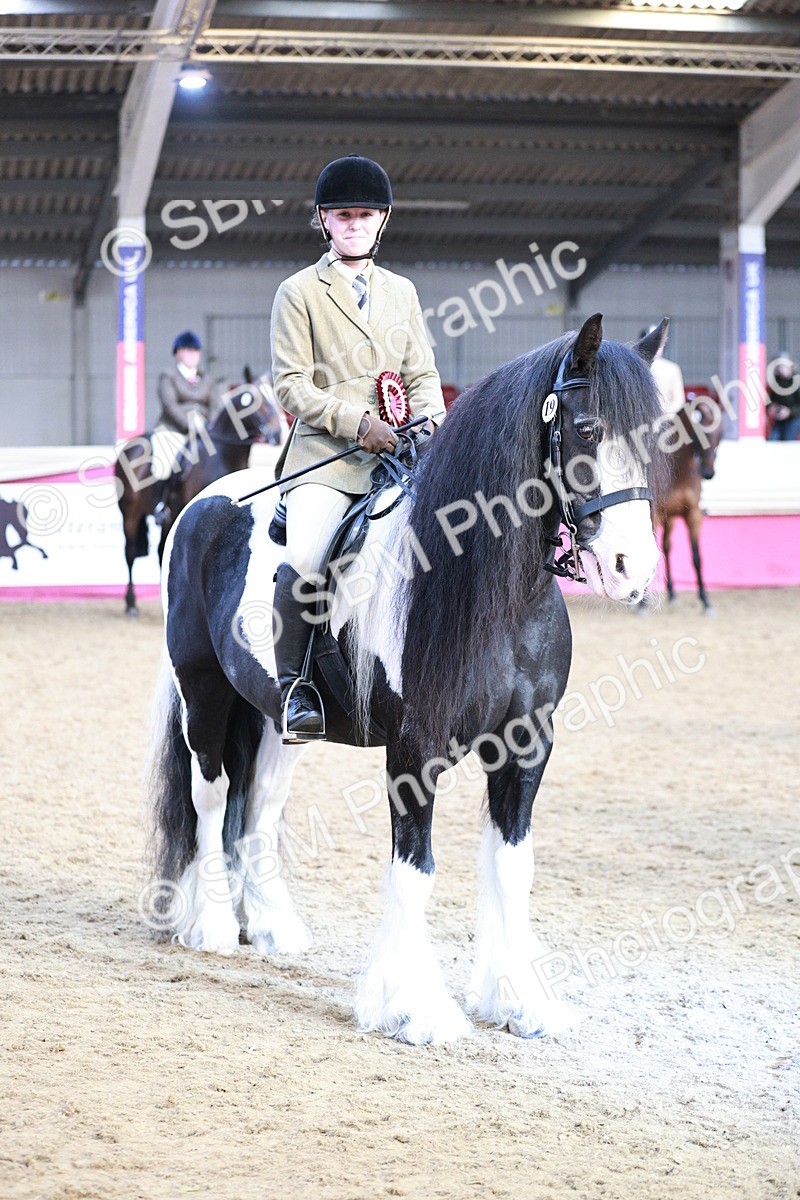 SBM_09116 - Class 12R - Regional Ridden Pre-Vet
