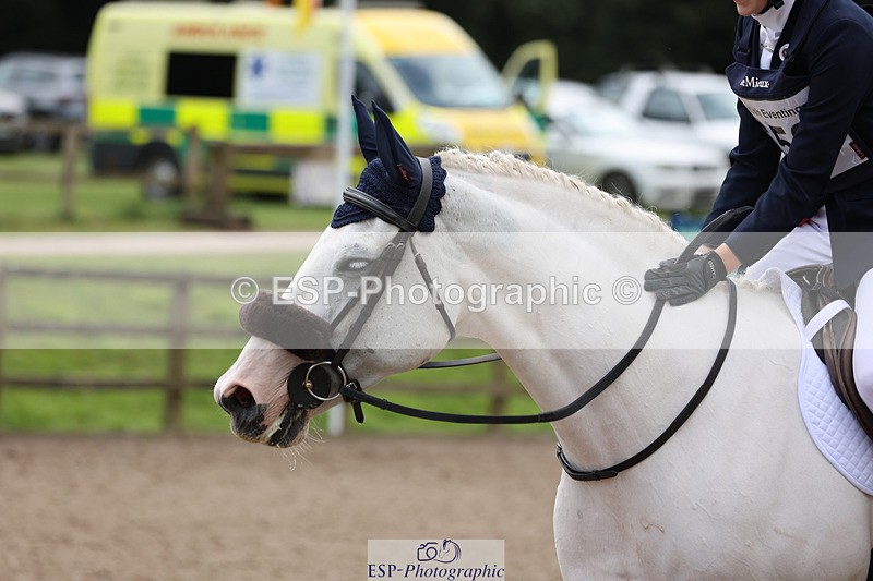 240804-141008-15686 - 653-Ellie_Hillman-KILLEA_COCO_BLUE