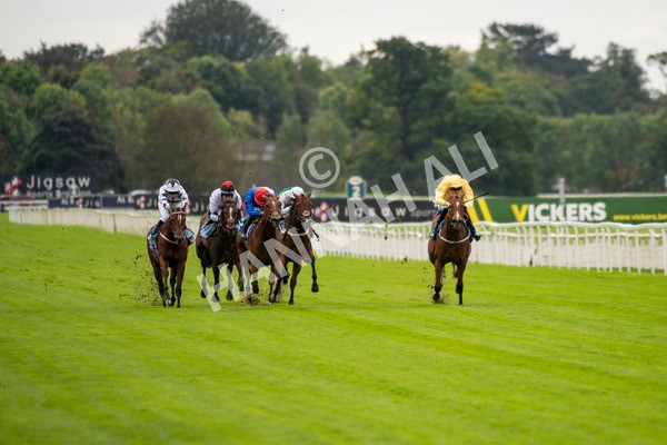 230923-Race 1-Invincible Molly-5558 - Race 1 2.00pm Jigsaw Sports Branding EBF Fillies' Novice Stakes