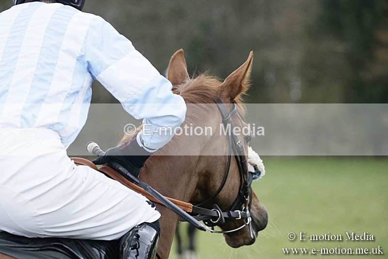 PtP 110318 216 - Hampshire Hunt Point-to-Point Hackwood Park 11/03/18