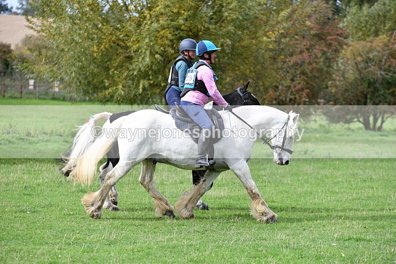 WJ5_0005 - Time 13:25 to 13:58