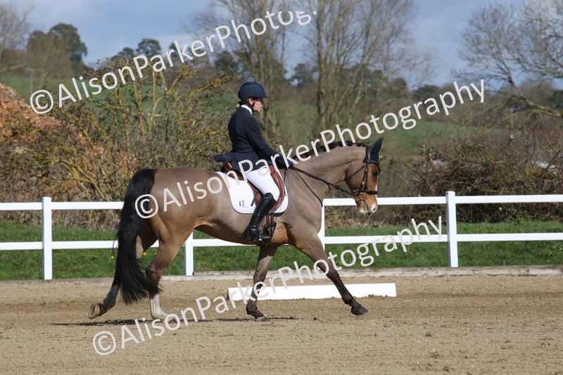 20260314-3990 - CT4 - Novice 1