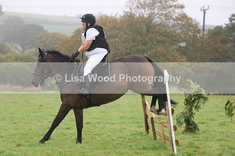 3E7A0800 - Class 1: 65cm: Rails