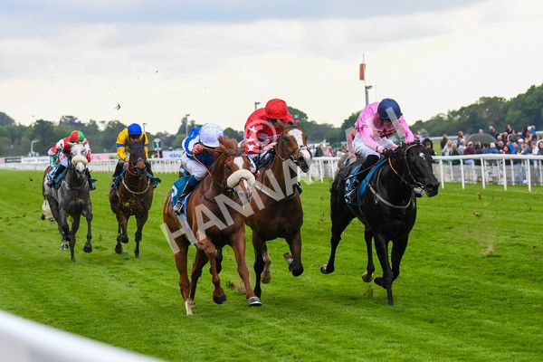 190523-Race 3-Marhaba The Champ-0474 - Race 3 3.00pm Knights Solicitors Handicap