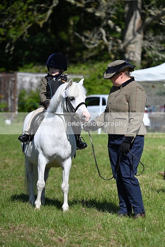 WJ7_0385 - Class 8 First Rally Pony