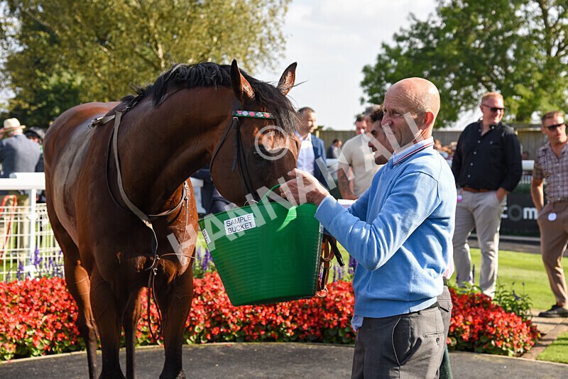 310824-Race 6-Amphius-2846 - Race 6