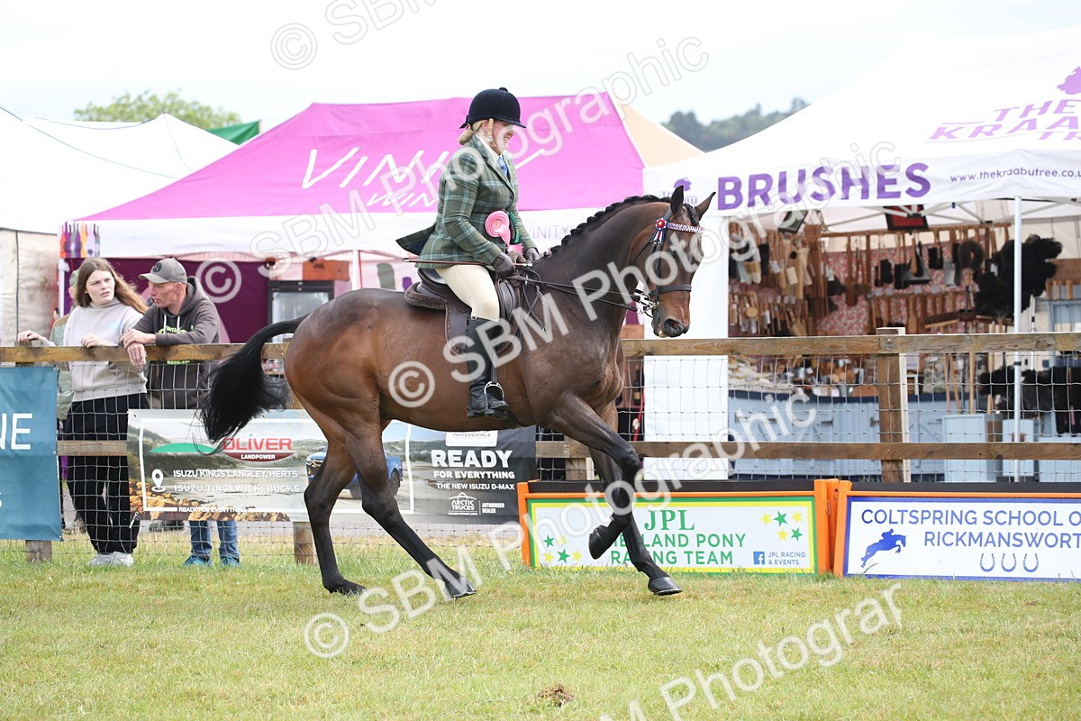 SBM_11491 - Class 94 - LIHS BSHA Racehorse to Showhorse