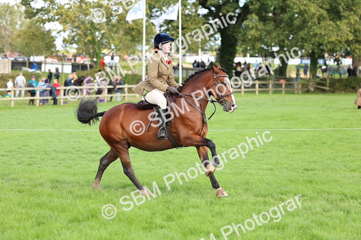 SBM_45512 - S33 - Working Hunter Pony