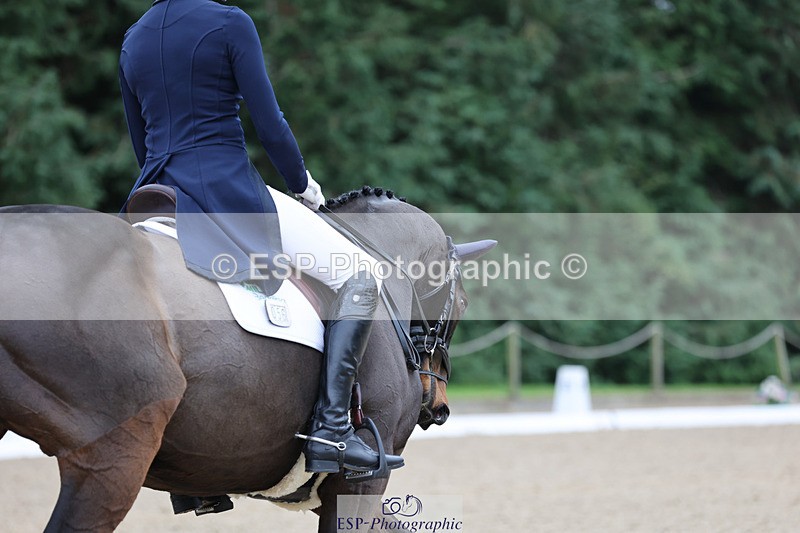 241024-120406-01973 - 056-Claire.Deuten-KILBUNNY.BLUE.BIRD