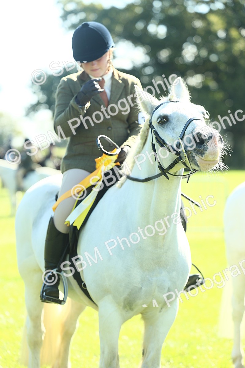 SBM_39087 - S29 - Novice & Newcomers Working Hunter Pony