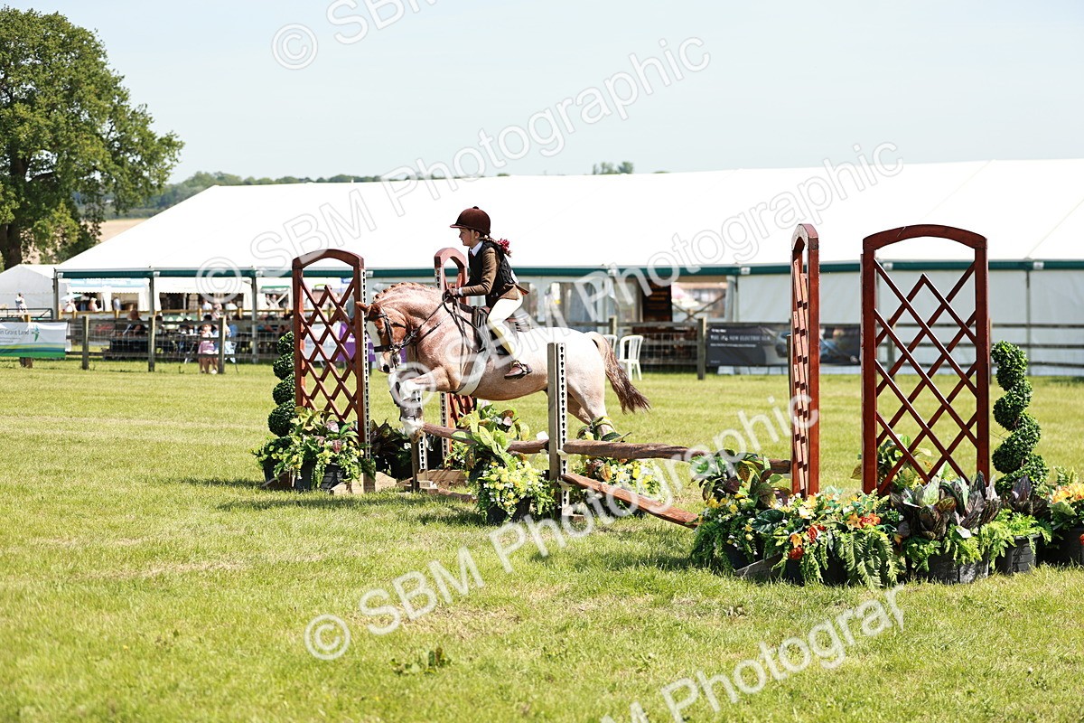 SBM_13506 - Class 108-109 - BSPS LIHS Open Gradle & Nursery Stakes