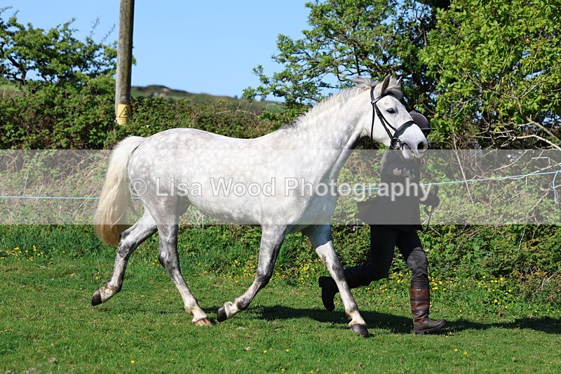 3E7A8544 - Class 13: M & M Large Breeds