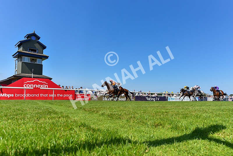 250624-Race 4-Lincoln Rockstar-9367 - Race 4