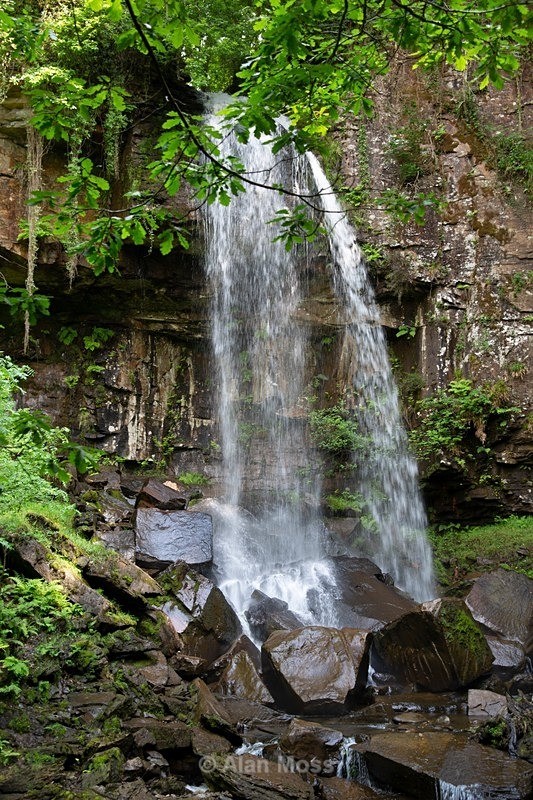 Mellincwrt Falls Summer  - Landscapes