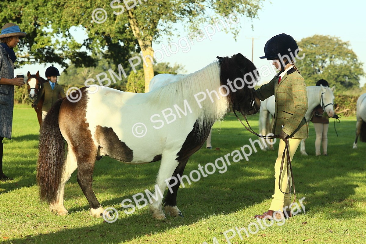 SBM_57432 - S37 - Starters In Hand Showing