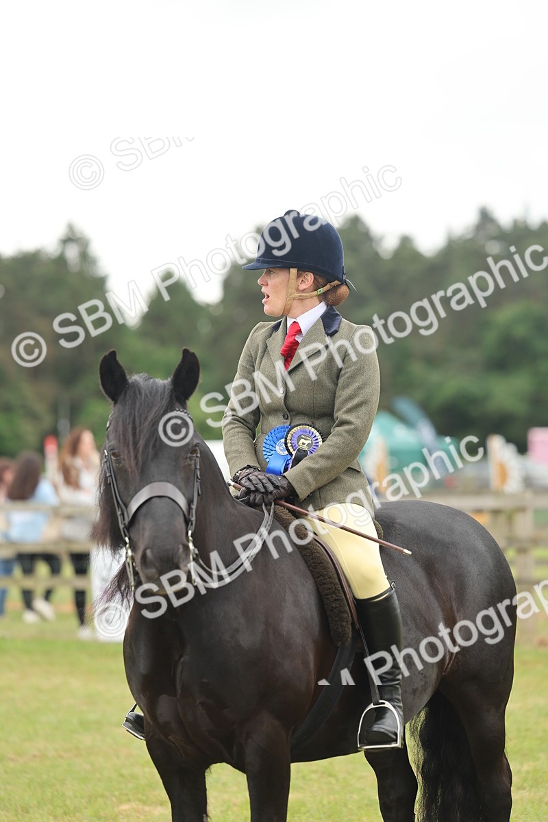 SBM_09045 - Class 78-80 - Ridden M&M Non Welsh Ponies