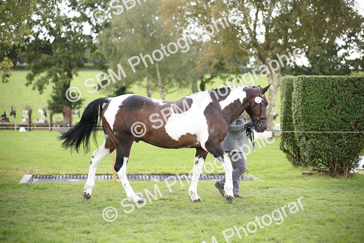 SBM_44361 - S24 - Young Veteran in hand
