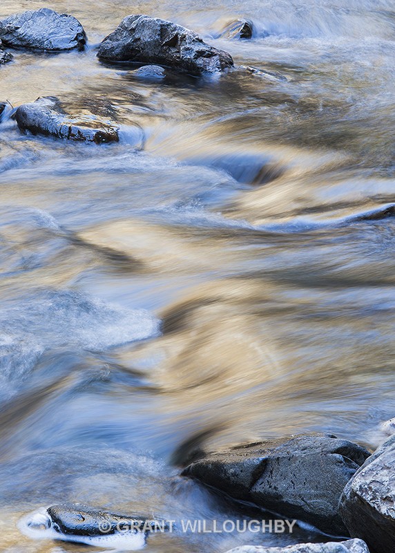  - Vertical Images
