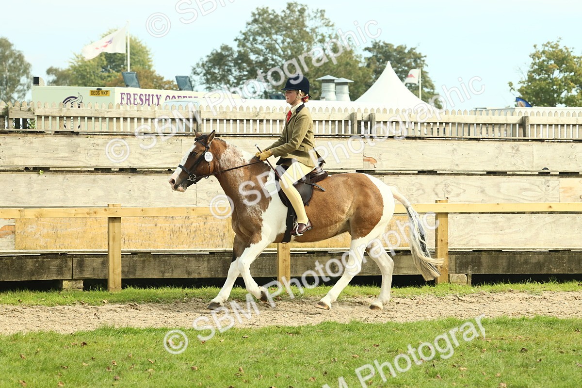 SBM_68114 - S57 - Part Bred Pony Ridden