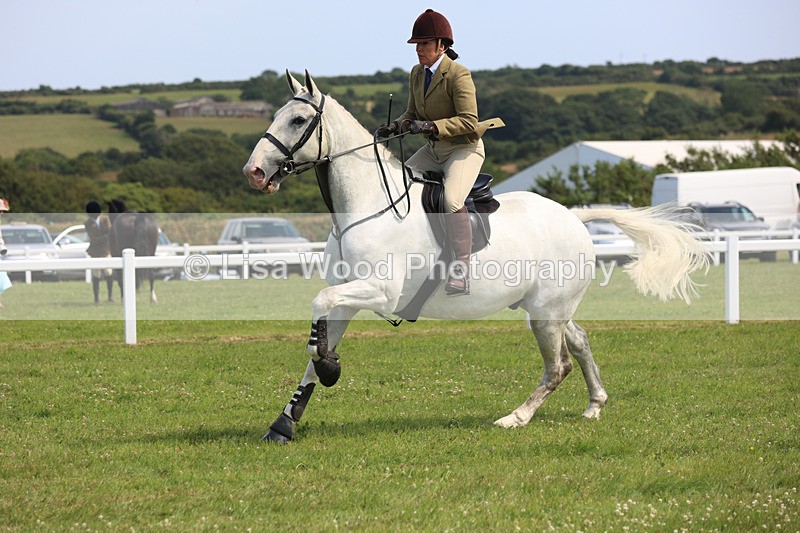 JPP_3661 - Class 23: Working Hunter 80cm
