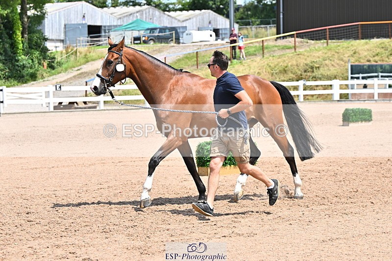 240718A-105314-01746 - Trot Up 1pm to 2pm